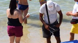 ВИДЕО с продавач на царевица на плажа скара жестоко мрежата