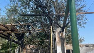 Млада адвокатка проплака: Запалиха дома ми, след като вкарах престъпник в затвора! СНИМКИ