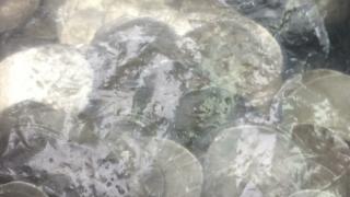 Спецпрокуратурата с голям удар СНИМКИ