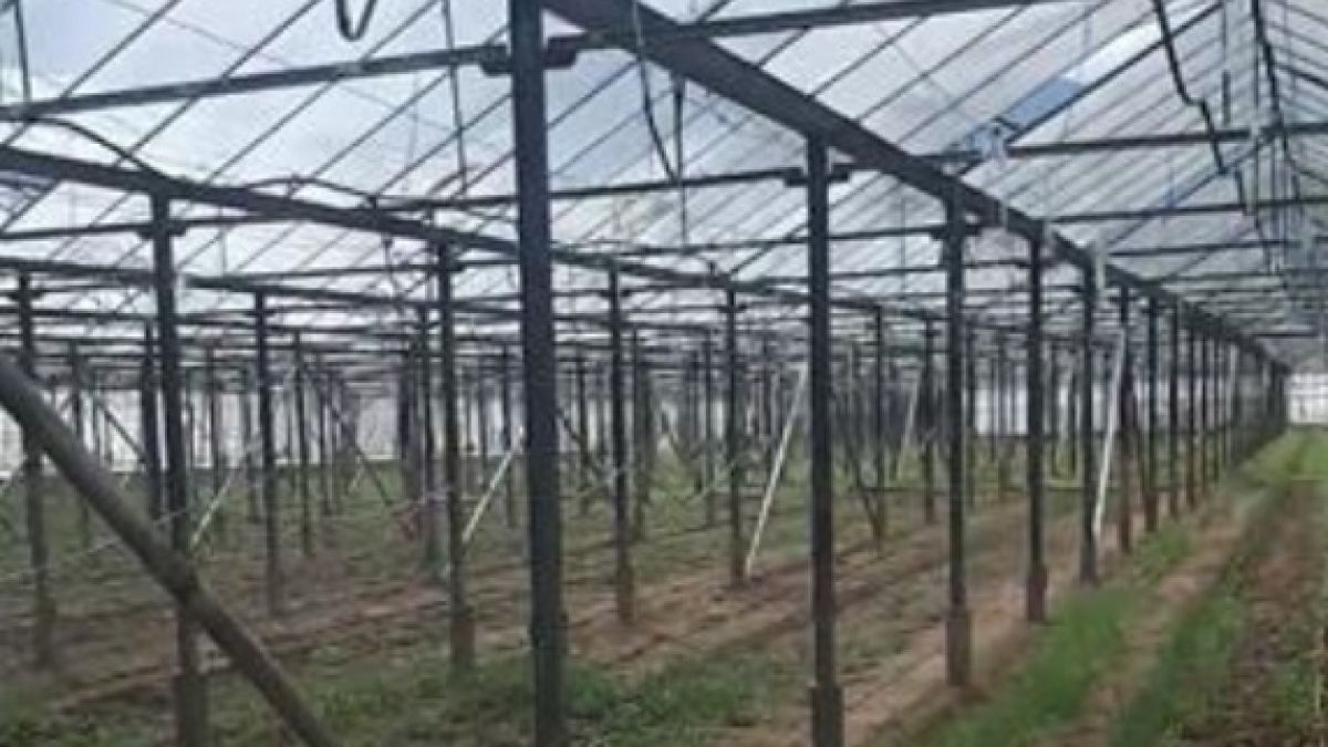 Пореден удар по наркомафията в Петрич, има арести 