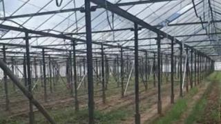 Пореден удар по наркомафията в Петрич, има арести 