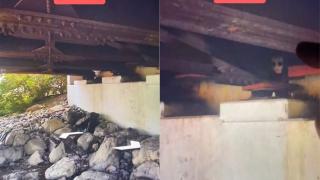 Тиктокър беше ужасен да открие в Google maps същество без очи ВИДЕО