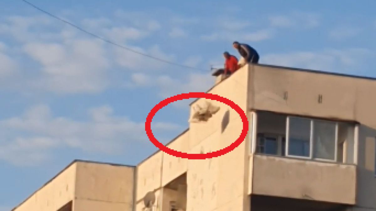 ВИДЕО от столичния ж. к. "Дървеница" подпали мрежата: Какво правят тези хора на покрива 