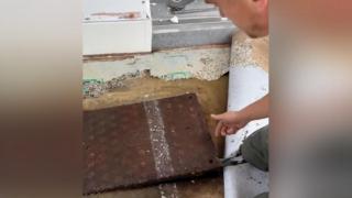 Жена усети странна миризма и с ужас откри какво има под килима