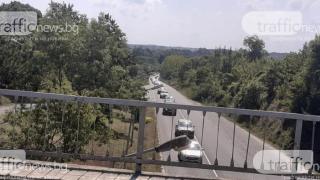 Зверска тапа към Южното Черноморие СНИМКИ