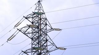Токов удар осея с трупове полето в Добричко СНИМКИ