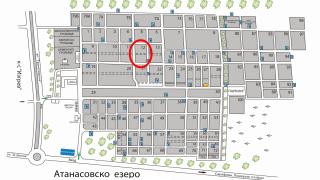 Зловеща развръзка: Откриха изчезналата брокерка Теодора Бахлова обезглавена в гробищата в Бургас