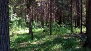 Русначе, изгубено за 4 дни, се закле: Никога повече! СНИМКИ