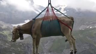 У нас няма хеликоптер за пострадали планинари, а в Швейцария... ВИДЕО