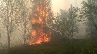 Ужас се вихри край Ветрен, 5 пожарни са на мястото