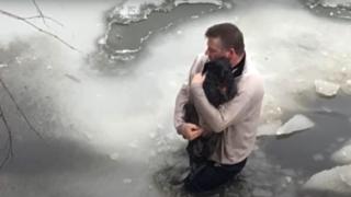 Мъж рискува живота си, за да спаси този на куче в беда ВИДЕО
