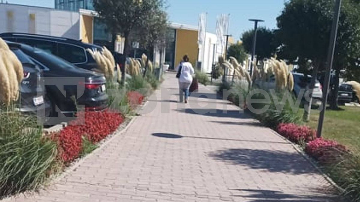 Другарката "500к" Татяна Дончева хвърля пачки във Виена като дубайски шейх СНИМКИ