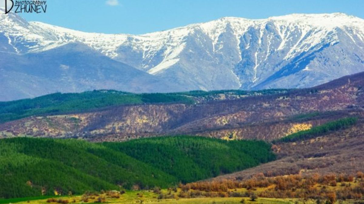 Народът пощуря да купува селски имоти, вижте къде СНИМКИ