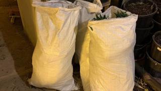 Не е за вярване каква златна джаджа свърза арестувания Брендо с Путин СНИМКИ