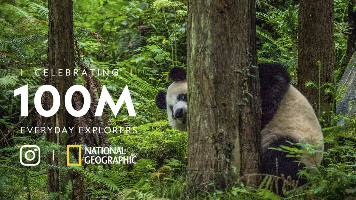 National Geographic On Demand вече е в EON 