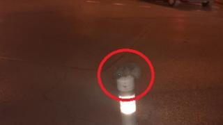 Нощна СНИМКА от Сточна гара в София смрази мрежата