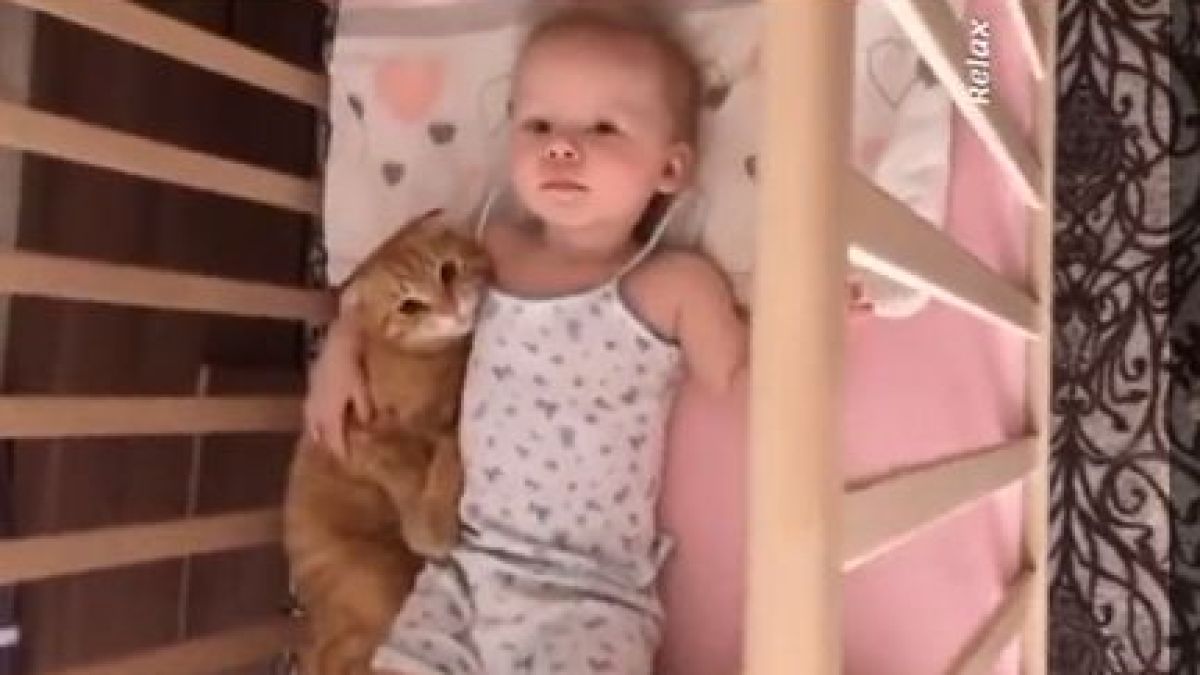 Удивително: Бебе и коте са създадени един за друг ВИДЕО