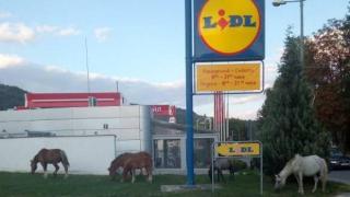 Тази СНИМКА до магазин на LIDL във Велинград озадачи мрежата
