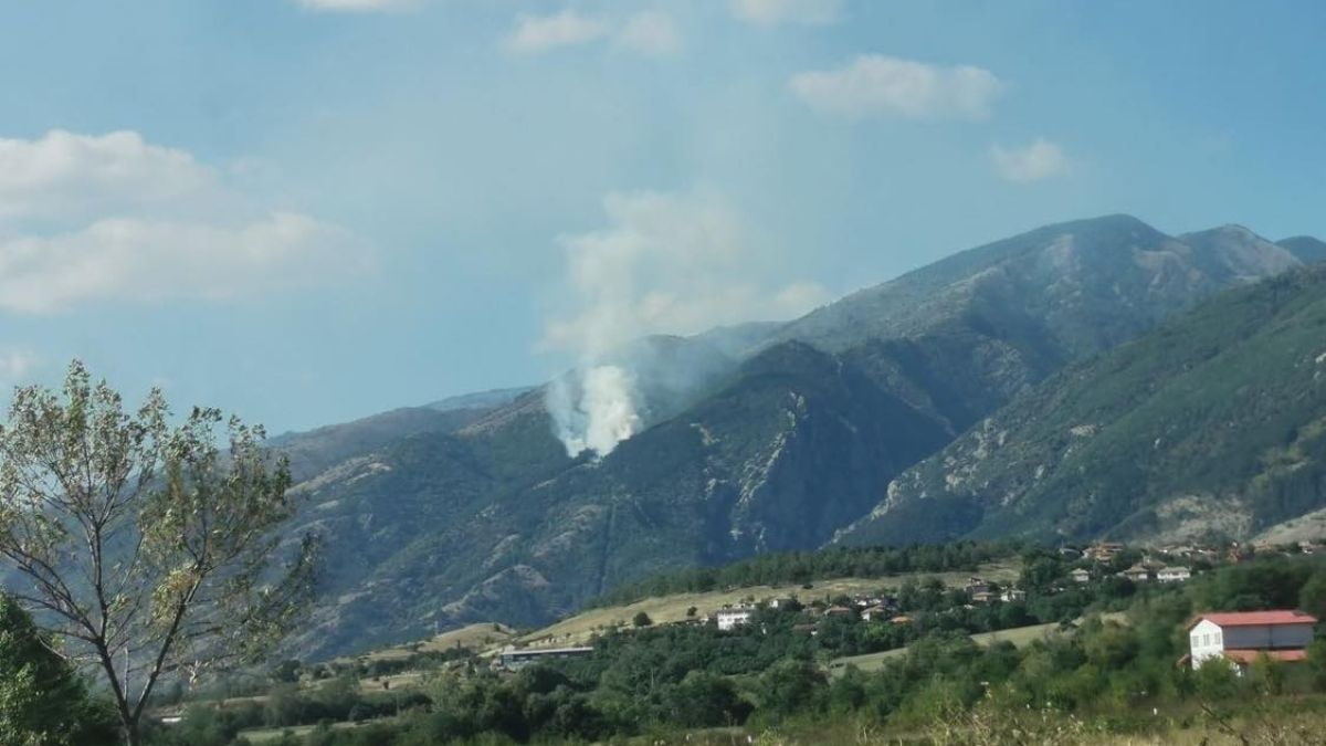 Локализираха пожара в Балкана, пламнал заради нехайни гуляйджии 