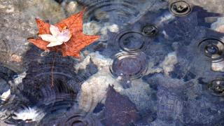 НИМХ с мрачна прогноза за четвъртък