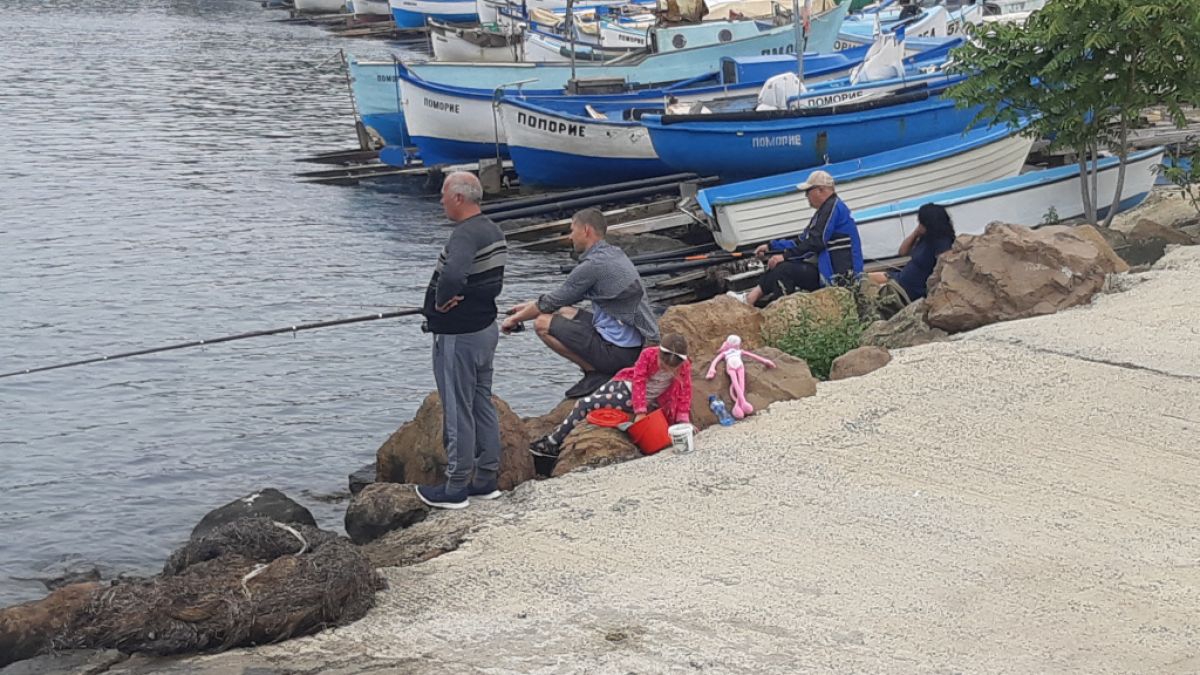 Случайно откритие на дъното на Черно море изненада БГ учените СНИМКИ