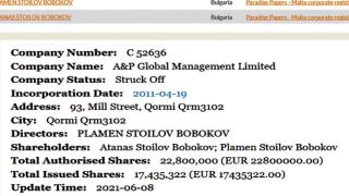 Лъснаха имената и на братя Бобокови в Pandora Papers СНИМКА