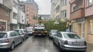 Какво се случва? Нов инцидент с паяк в Пловдив!  СНИМКА