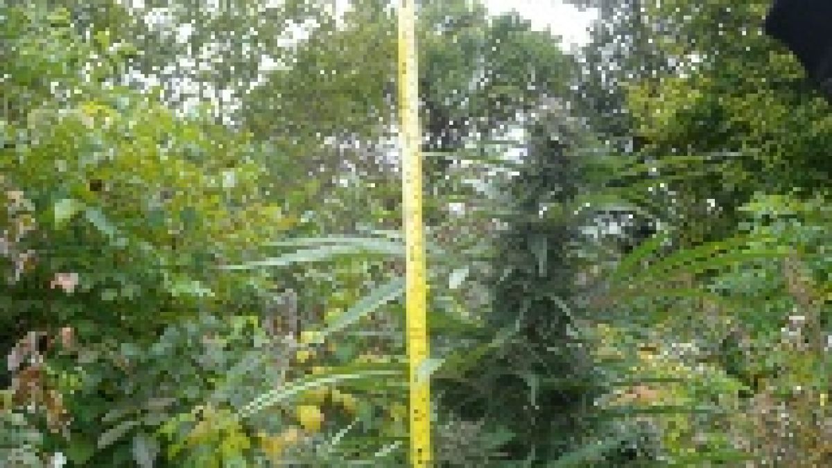 Полицаи се хванаха за главата от тази находка в село Сноп СНИМКИ