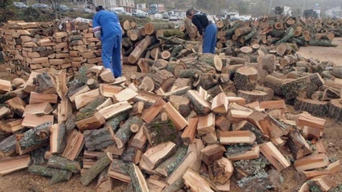 И с дърва няма да може да се спасим от студа тази зима, защото и там е страшно