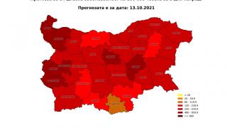 Проф. Витанов: Ще повторя заради дебелите кратуни - основната дума е няма, няма, няма! КАРТИ