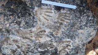 Археологическо откритие в Тибет пренаписва историята на човечеството