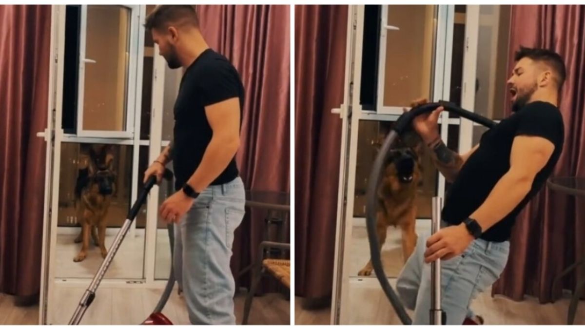 Куче спаси стопанина си от атаката на прахосмукачка ВИДЕО