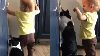 Забавно ВИДЕО запечата как дете и коте извършиха дръзко "нападение" на шкаф 