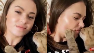 Нежността между коте и собственичката му, умили мрежата ВИДЕО