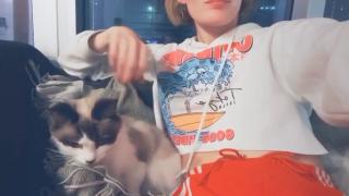 На котарак му писна от TikTok и реши да убие стопанката си ВИДЕО