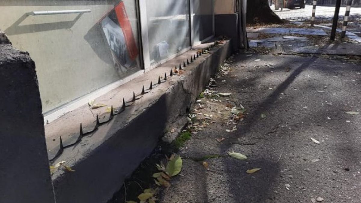 Столичен магазин се огради с шипове като за мечки в Аляска, причината е смайваща 