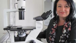 Доц. Гломб: България гори! По-добре да...