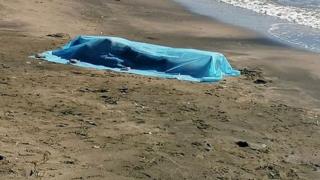 Зловещо: Труп на студент изхвърли морето във Варна 