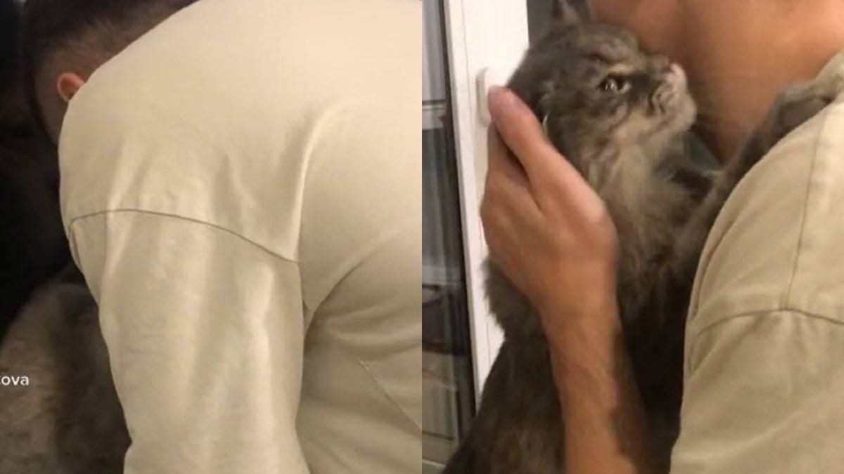 Котарак показа чувствата си към своя собственик и трогна мрежата ВИДЕО