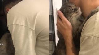 Котарак показа чувствата си към своя собственик и трогна мрежата ВИДЕО