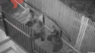 Момиче се спаси по чудо от гладни мечки и се прослави в мрежата ВИДЕО