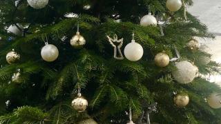 Елхите на таланта отновo ще превърнат София в приказна феерия