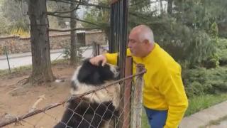 Домашните любимци на партийните лидери