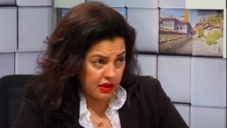 Политолози се скараха люто заради харвардците и Радев