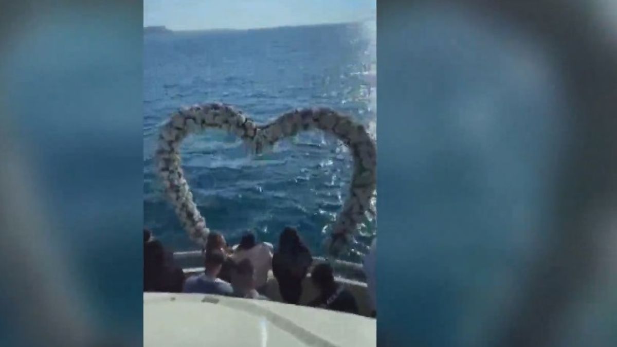 Красиво ВИДЕО от екскурзията на туристите от РСМ, часове преди да се качат в автобуса-ковчег 