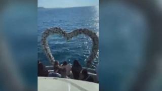 Красиво ВИДЕО от екскурзията на туристите от РСМ, часове преди да се качат в автобуса-ковчег 