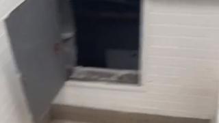 Младеж се натъкна на зловеща находка в училищна тоалетна ВИДЕО 