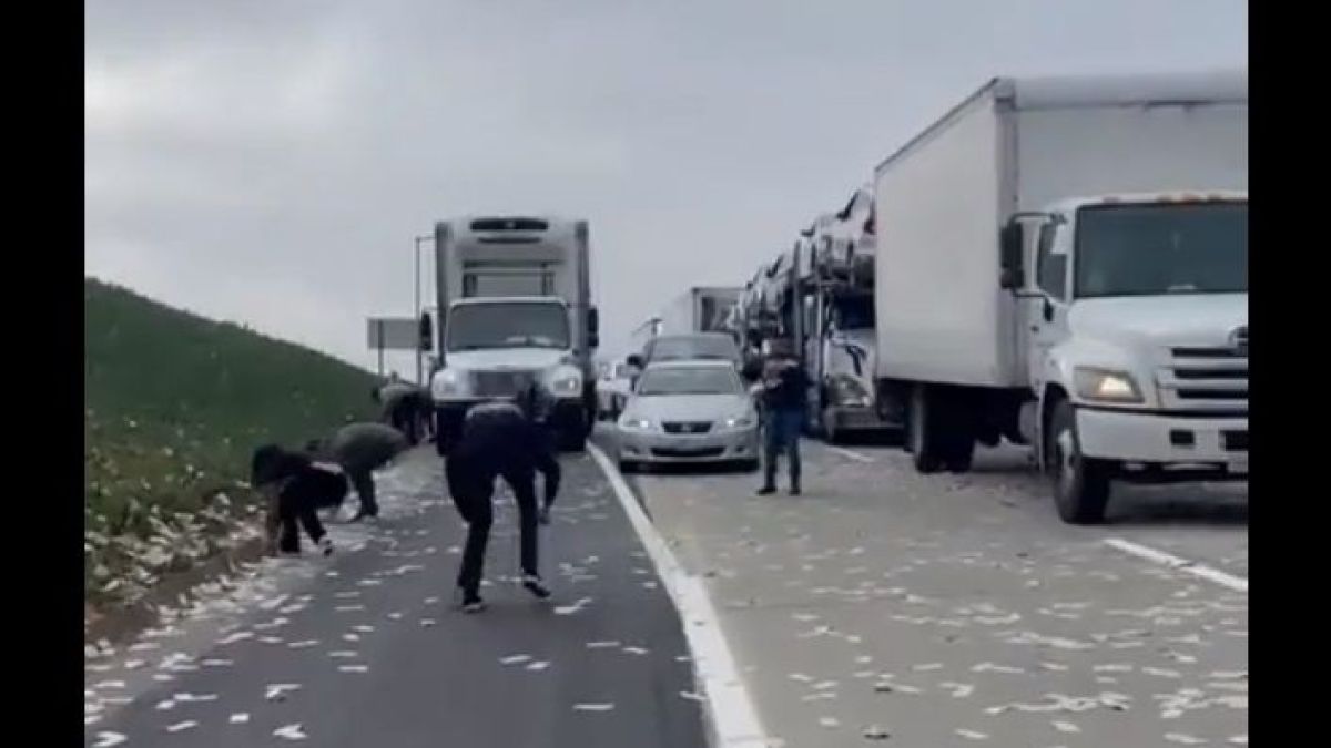 Като по филмите: Инкасов автомобил разпиля купища пари на магистрала ВИДЕО
