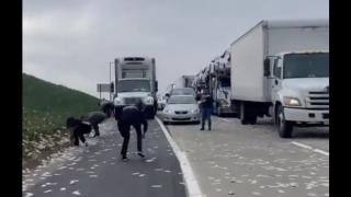 Като по филмите: Инкасов автомобил разпиля купища пари на магистрала ВИДЕО