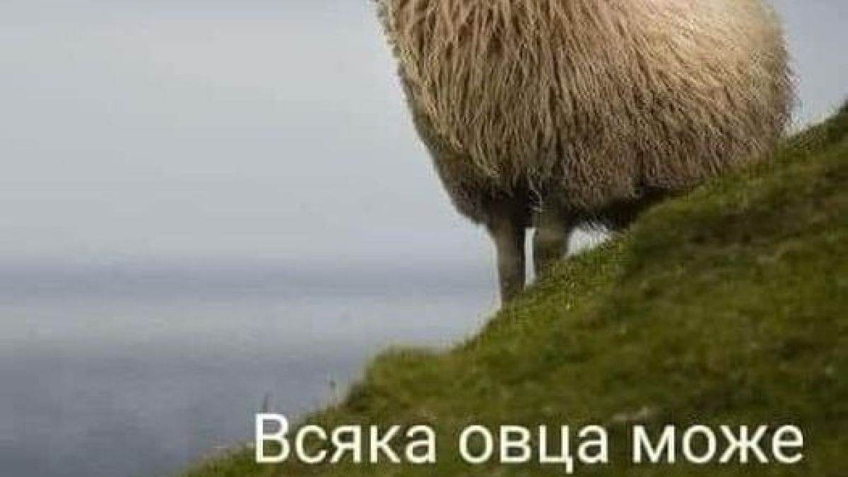 Проф. Витанов с мрачна прогноза за смъртоносния "Омикрон" вариант на К-19 КАРТА